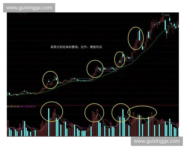 2014世界杯赔率背后的冷门奇迹与豪强命运全景解析